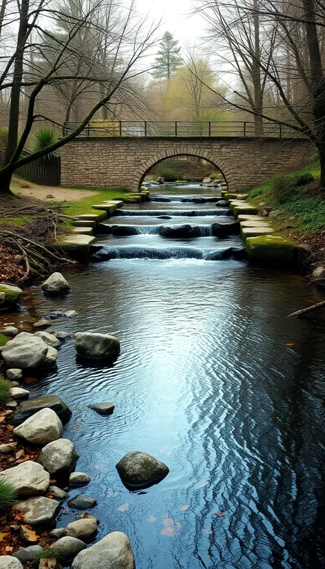 mill pond stony brook