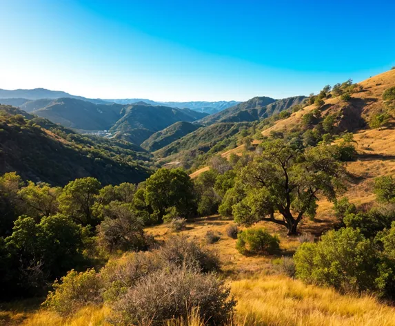 uvas canyon county park