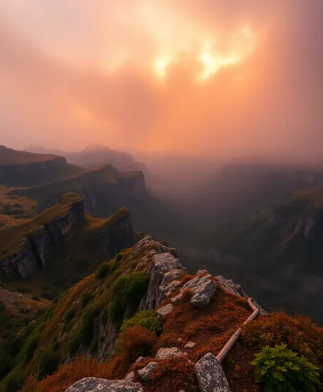 muir overlook