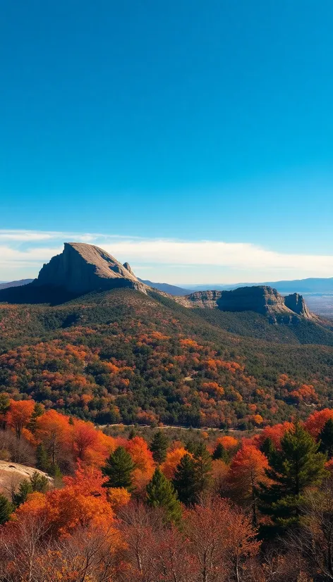 stone mountain outline i