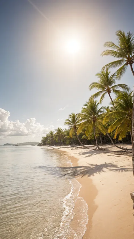 Fondo tropical, playa de