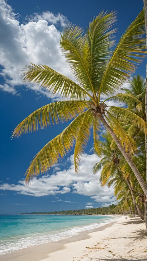 Fondo tropical, playa de