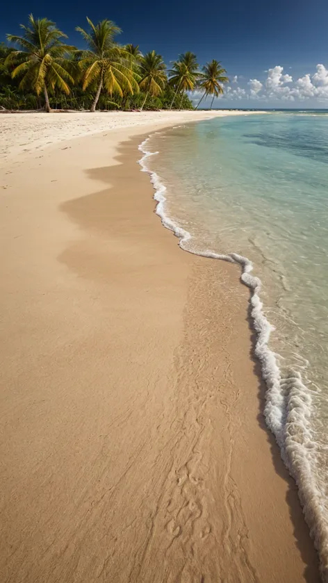 Fondo tropical, playa de