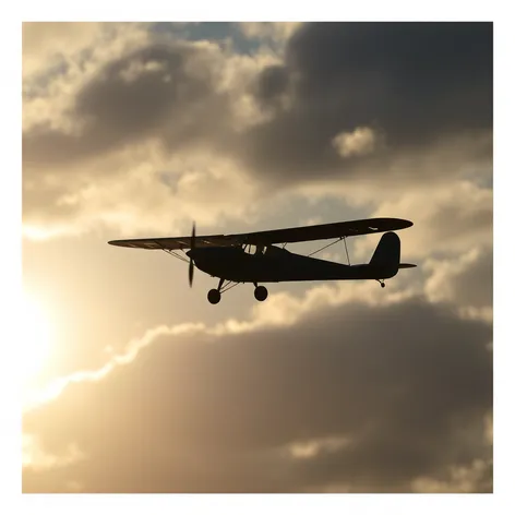 microlight plane