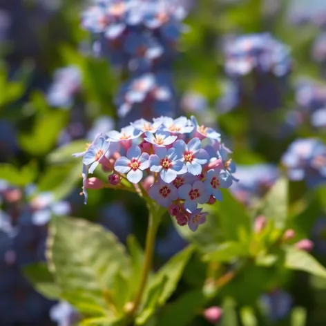 blue floral background