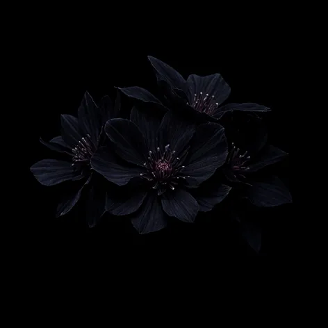 black flowers