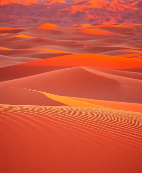 mesquite sand dunes