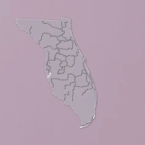 florida georgia map