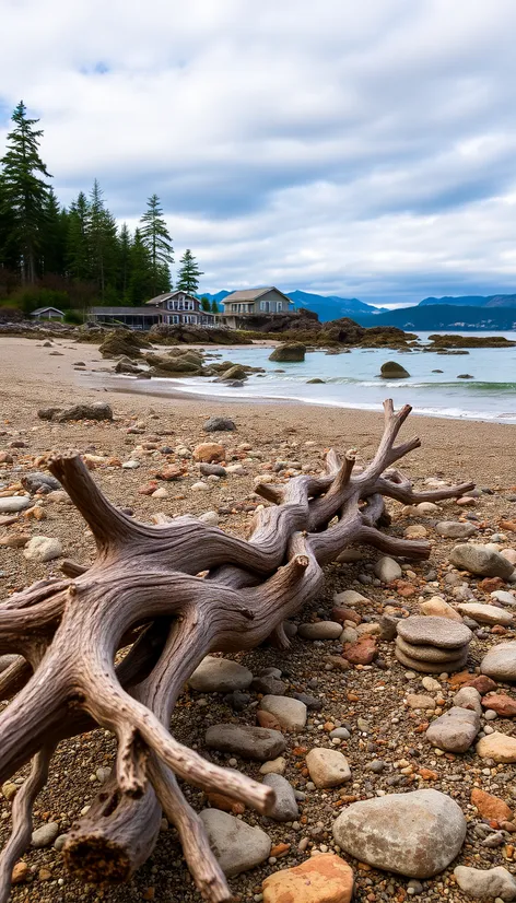 birch bay state park