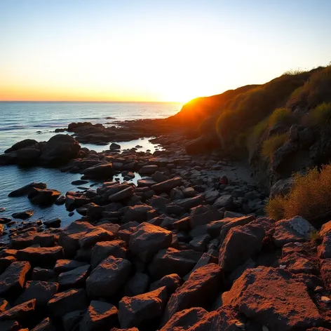 abalone cove hike