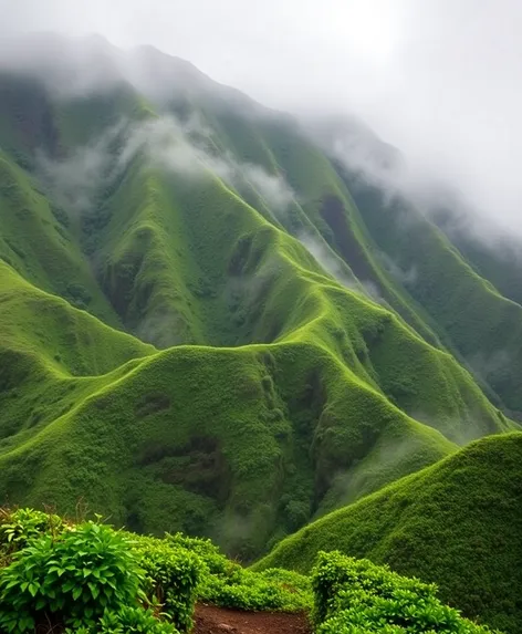 waihee ridge trail maui