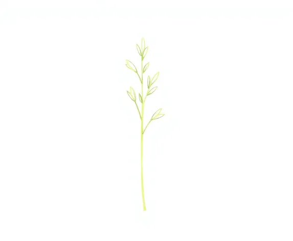 lemmon grass smal simple