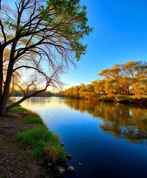 trinity river tx