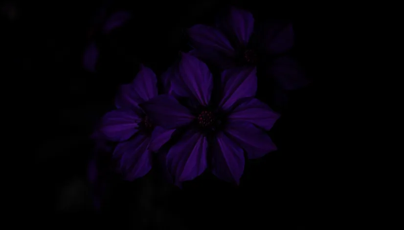 dark flowers