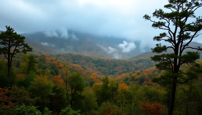 appalachian plateau georgia pictures