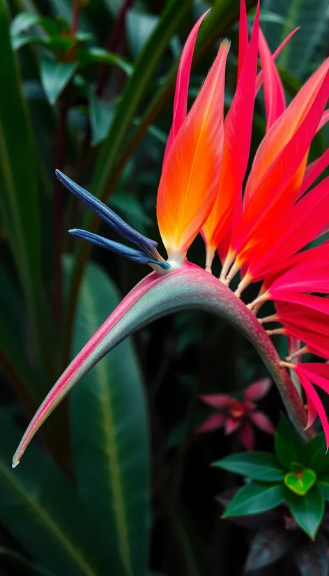 pink feather bower