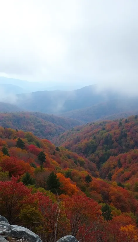 visuals of appalachian plateau