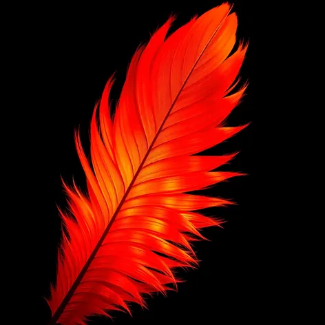 phoenix feather