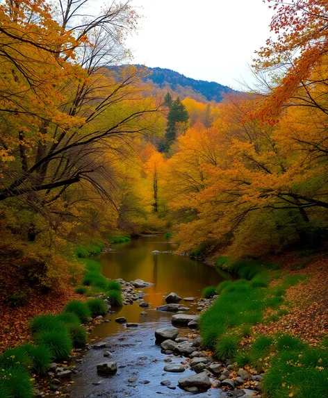 fountain creek regional park