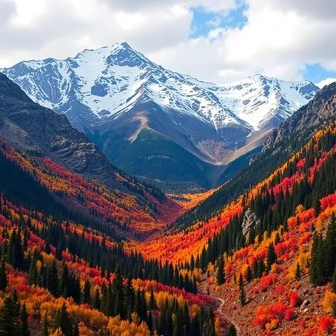 monarch pass colorado