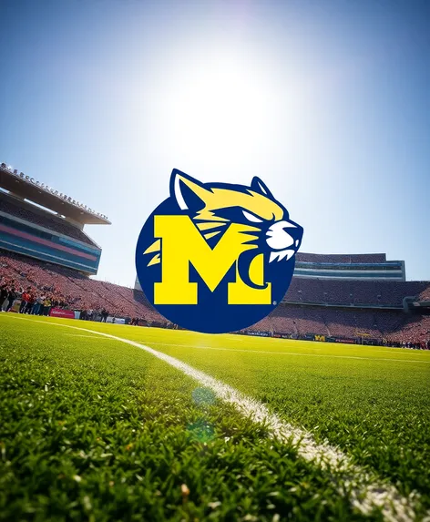 wolverines football