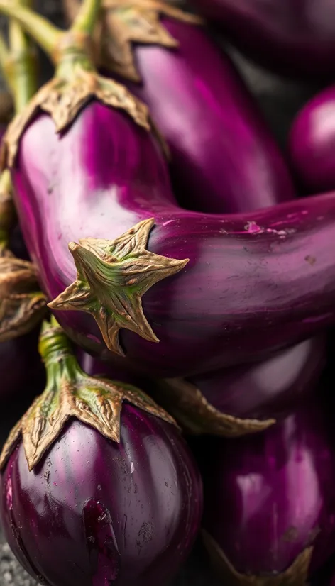 eggplant seeds