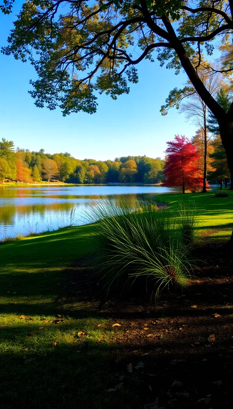 shelley lake park raleigh