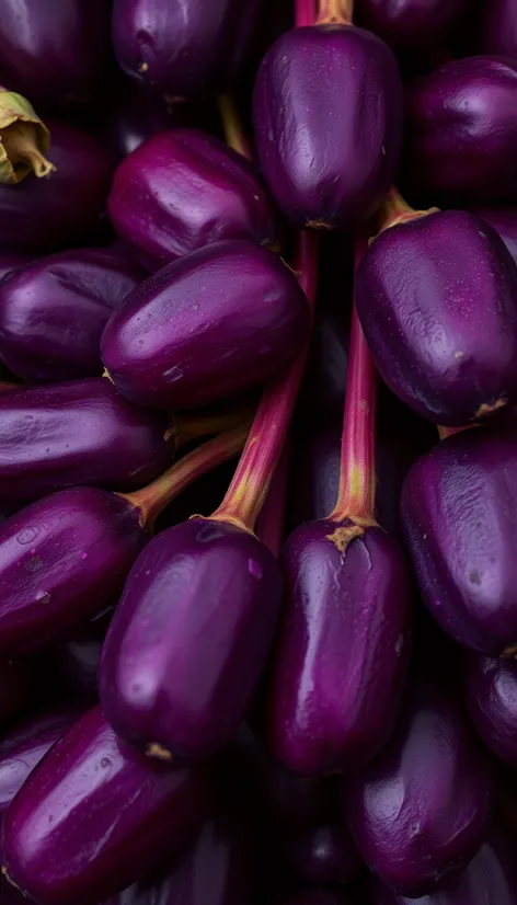 aubergine is what color