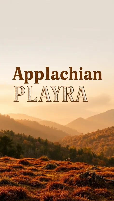 appalachian plateau word font