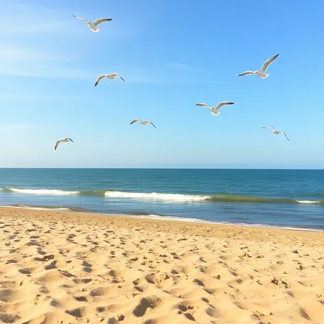 duxbury beach