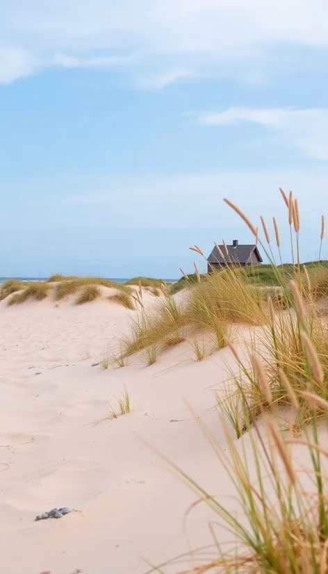 coast guard beach cape