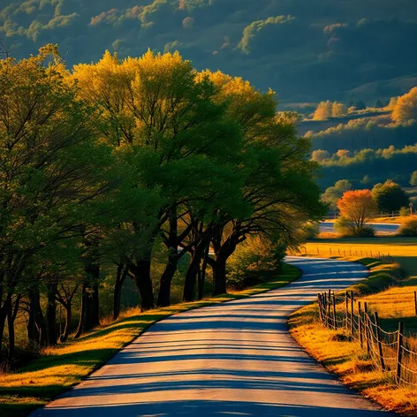 long driveway with trees