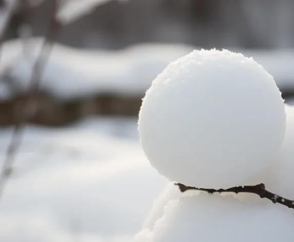 japanese snowball