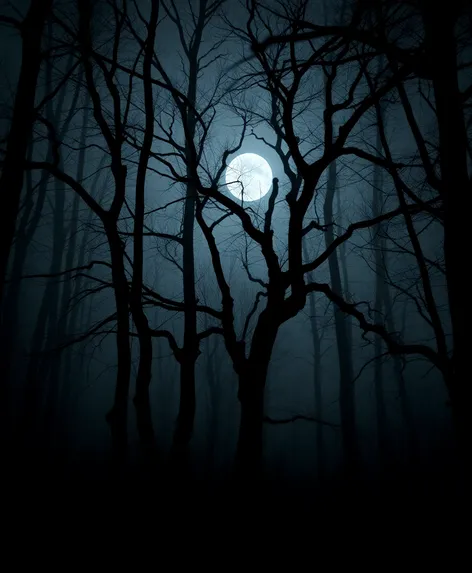 creepy dark forest