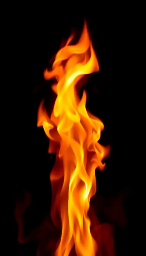 fire gif transparent