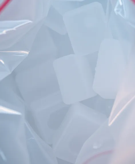 bag with ice