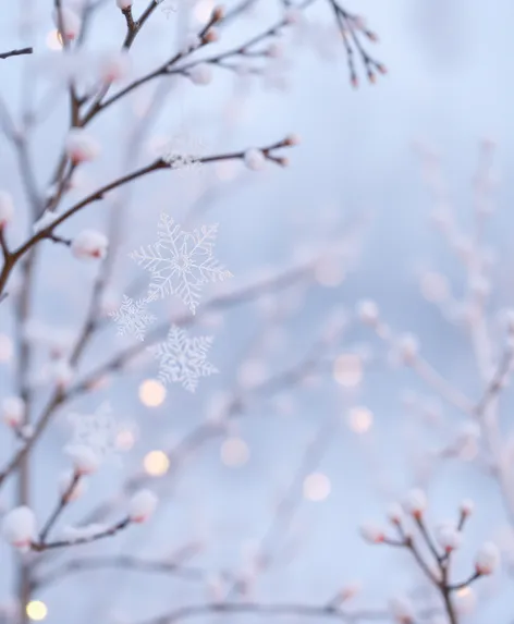 snowflake coloring page