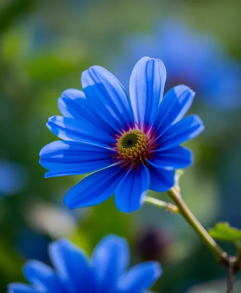 blue flower wallpaper