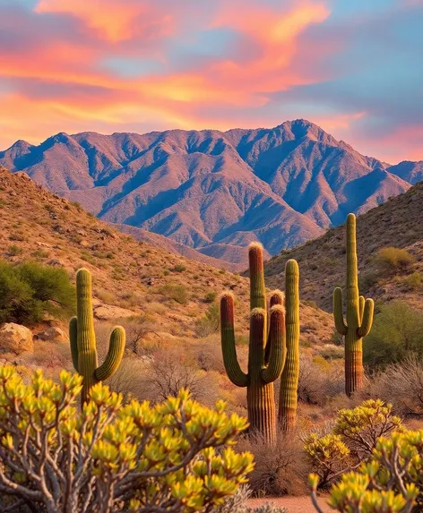 catalina foothills tucson