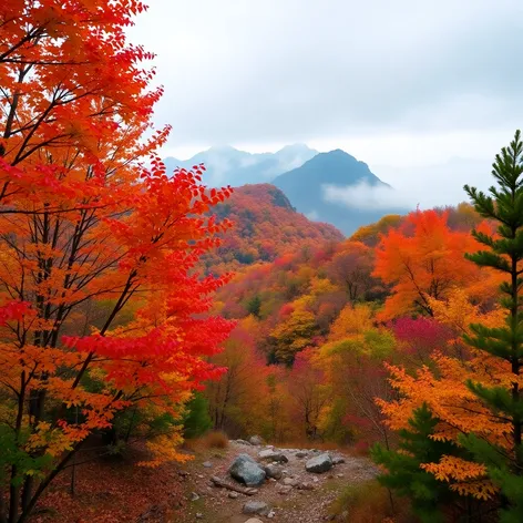 bukhansan national park