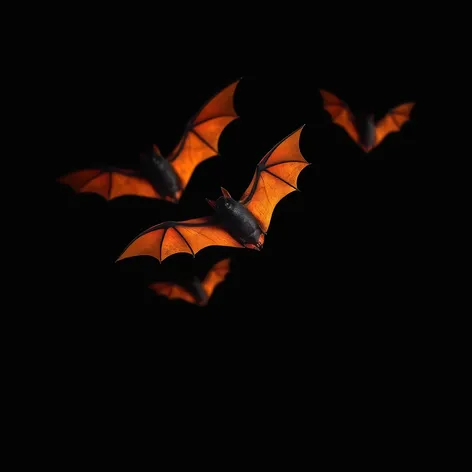 halloween bats