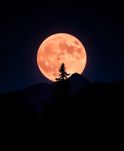 mountain tree silhouette