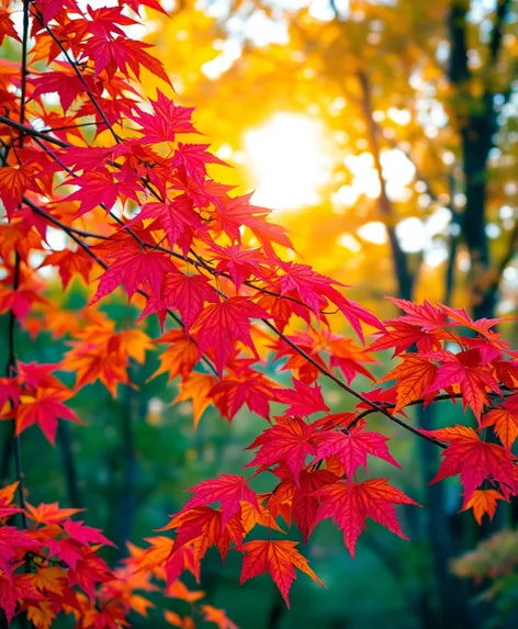 autumn leaf drawing