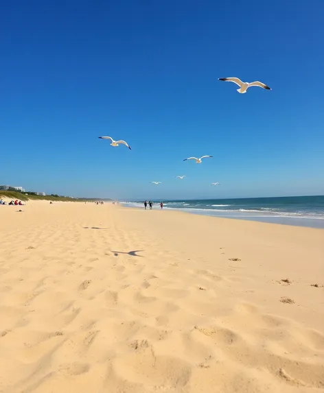 elms beach park