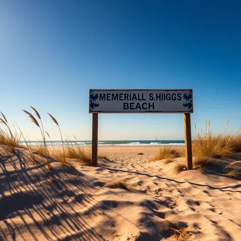 clarence s.higgs memorial beach