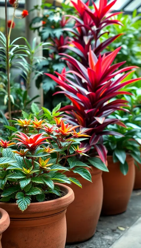 large potted plants