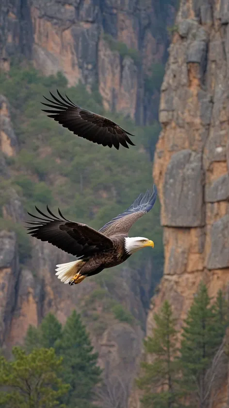 eagle flying