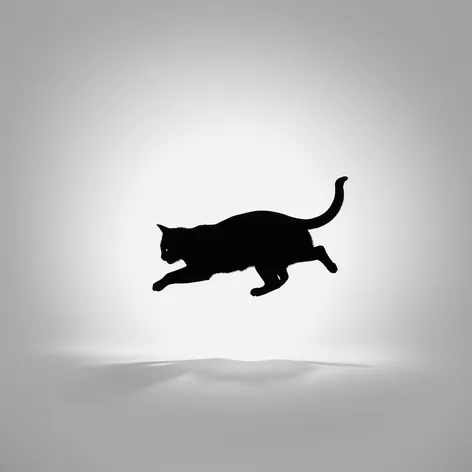 silhouette of a cat