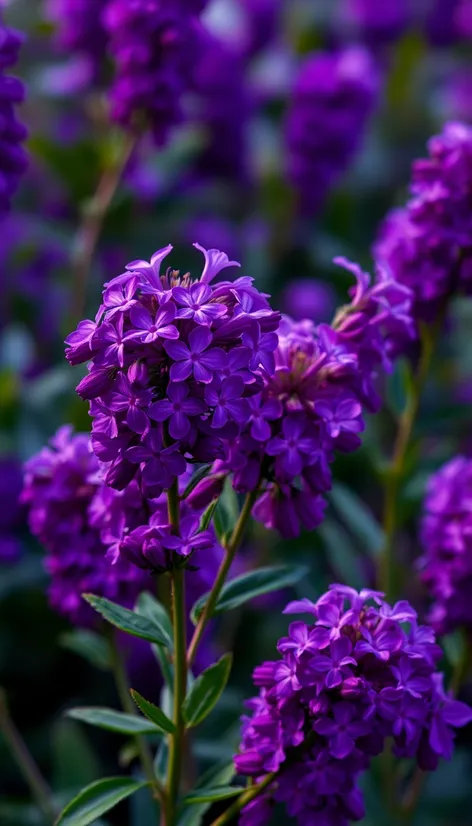 purple flowers purple photorealism