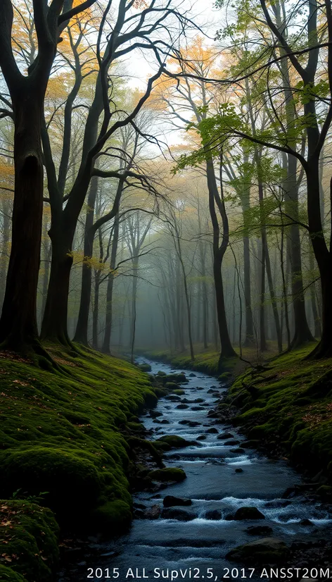 oak creek trees